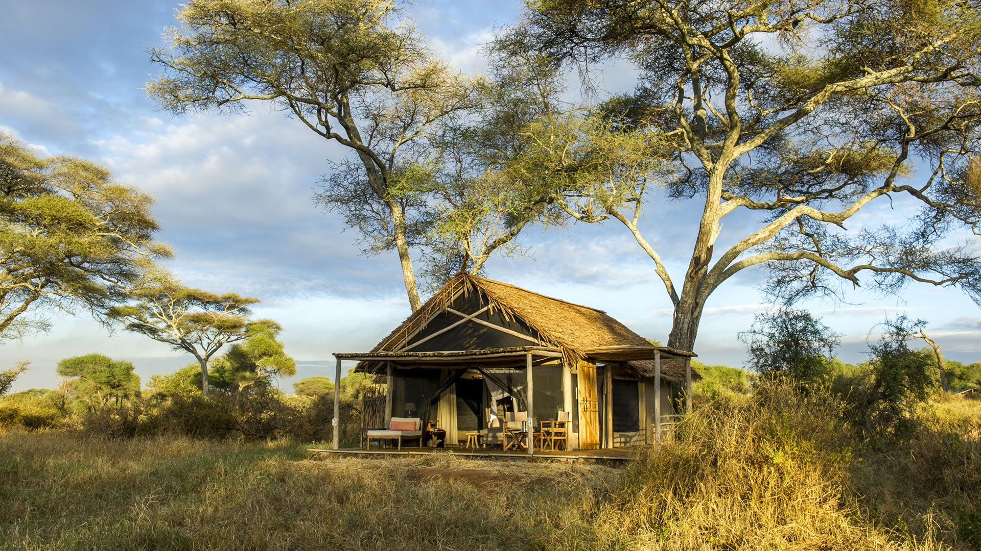 Kuro, Tarangire National Park in Tanzania - Safari Consultants - Africa Safari Holiday Specialists