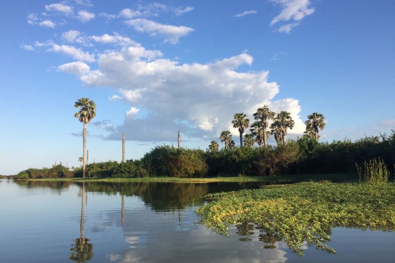 Nyerere National Park – A Wilderness Experience in Southern Tanzania