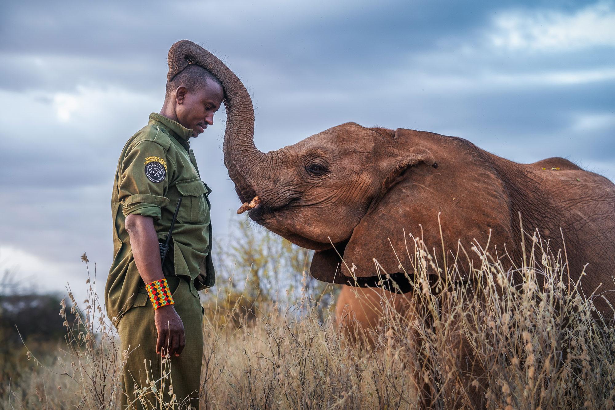 2025 – A Year in Conservation