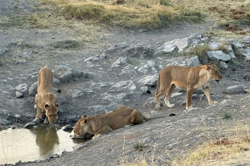 Hwange National Park, Zimbabwe