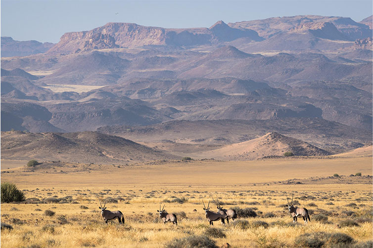 Damaraland Camp in Namibia