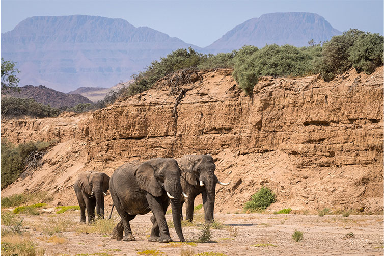 Damaraland Camp in Namibia