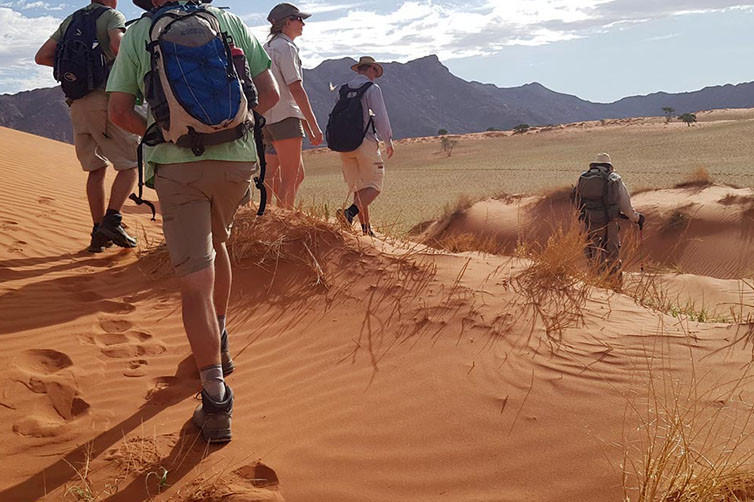 Tok Tokkie Trails in Namibia