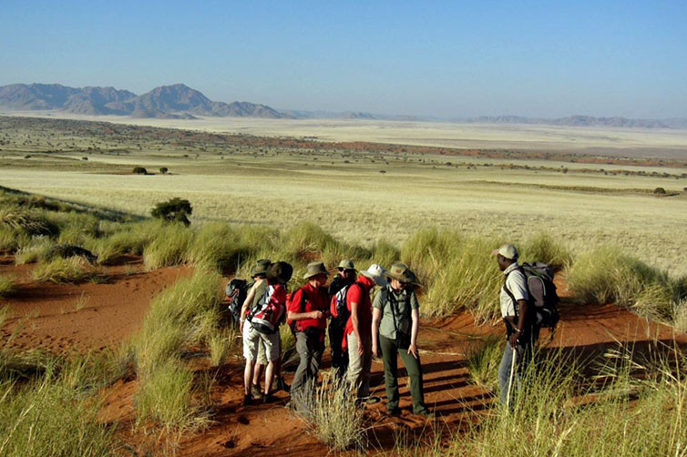 Tok Tokkie Trails in Namibia