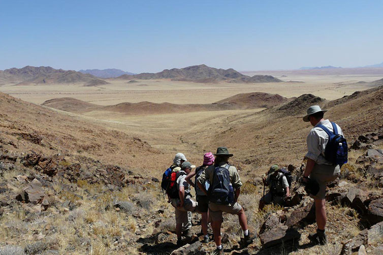 Tok Tokkie Trails in Namibia