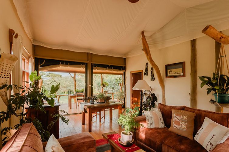 Africa Safari Holiday Specialists, Tailor-Made Safari Trips | Safari Consultants