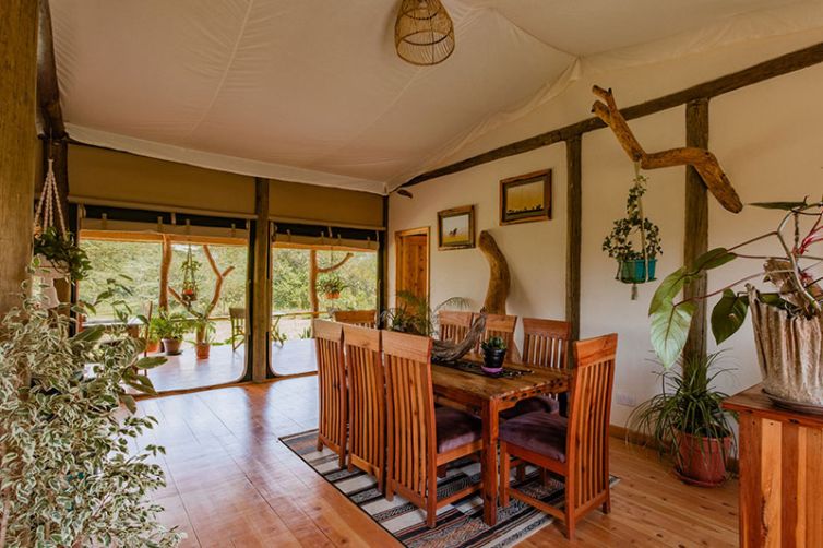 Africa Safari Holiday Specialists, Tailor-Made Safari Trips | Safari Consultants