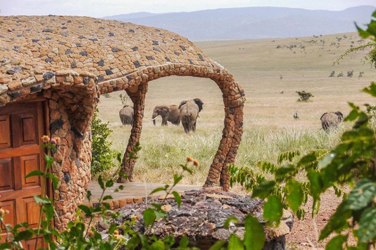 Africa Safari Holiday Specialists, Tailor-Made Safari Trips | Safari Consultants