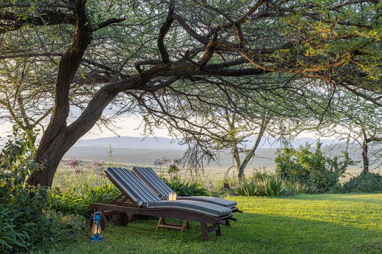 Africa Safari Holiday Specialists, Tailor-Made Safari Trips | Safari Consultants