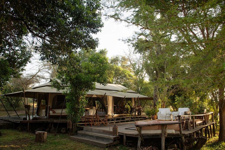 Africa Safari Holiday Specialists, Tailor-Made Safari Trips | Safari Consultants