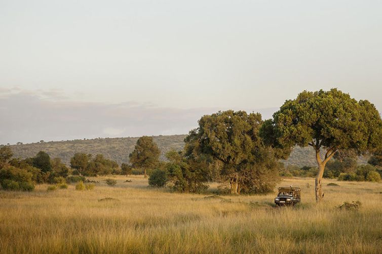 Africa Safari Holiday Specialists, Tailor-Made Safari Trips | Safari Consultants