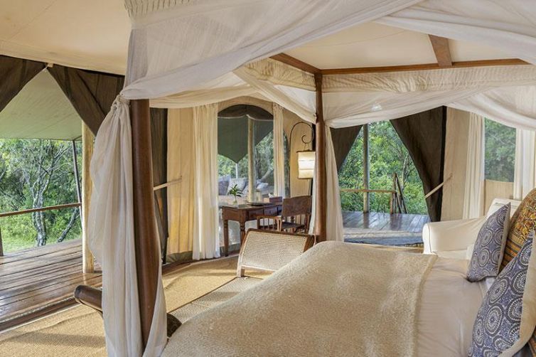 Africa Safari Holiday Specialists, Tailor-Made Safari Trips | Safari Consultants