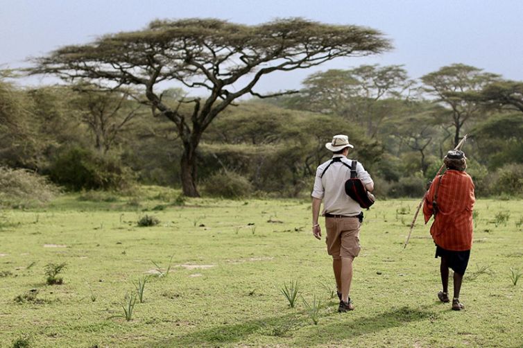 Africa Safari Holiday Specialists, Tailor-Made Safari Trips | Safari Consultants