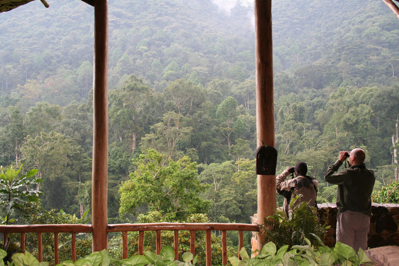19 Bwindi Impenetrable Forest