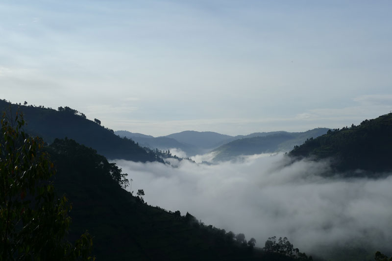 21 Bwindi Impenetable Forest mist