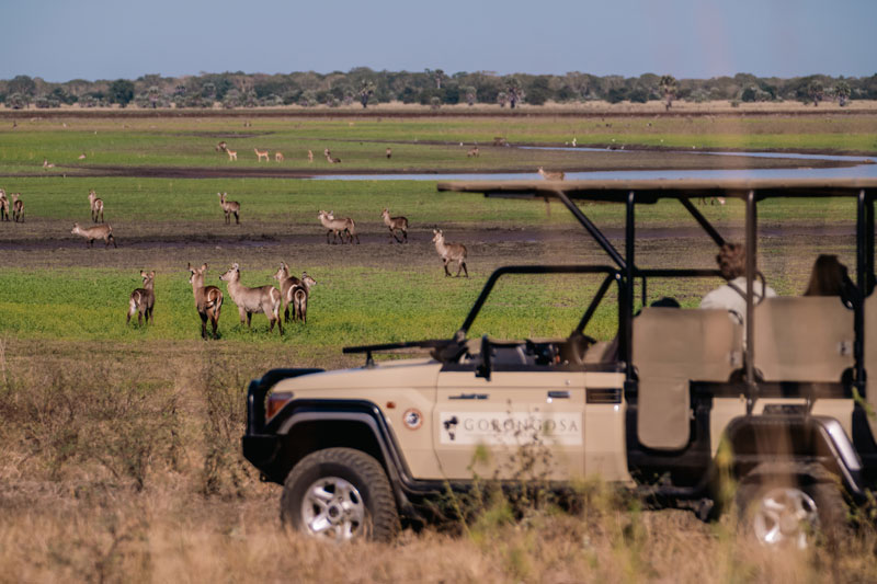 22 Gorongosa gamedrive