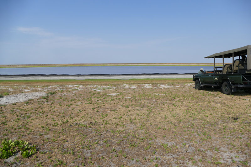 7 Liuwa Plains water hole scene