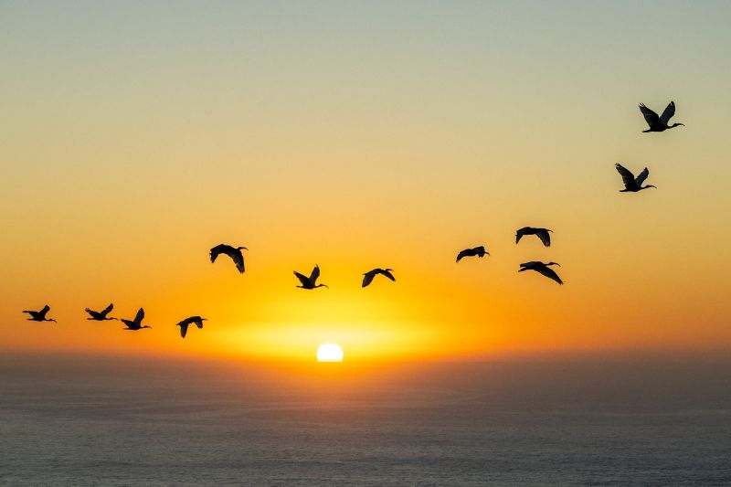 Blog part 2 blog pics 1