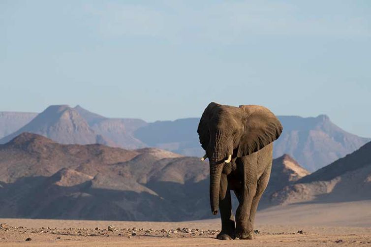 Camp Kipwe - Damaraland - Namibia