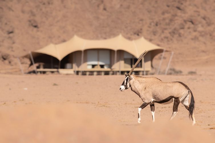 Hoanib Skeleton Coast (2)
