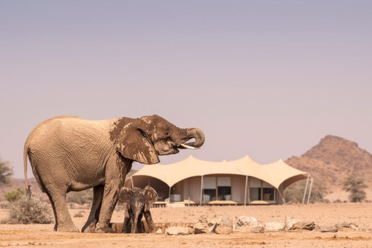 Hoanib Skeleton Coast (5)