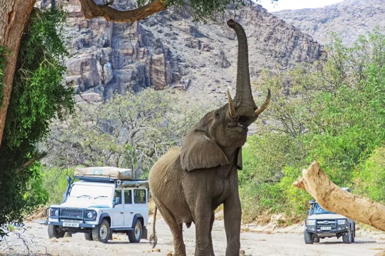 Kunene Wild Camping (4)