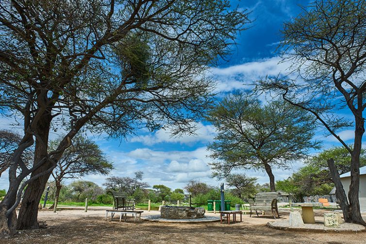 Okaukuejo Rest Camp (8)