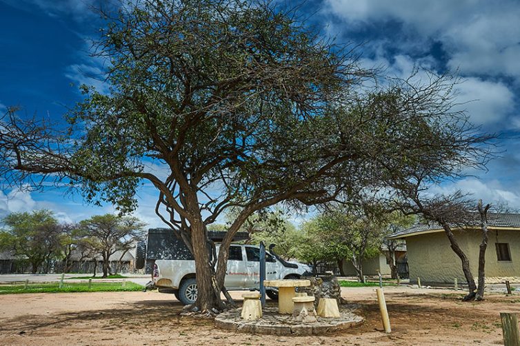 Okaukuejo Rest Camp (9)