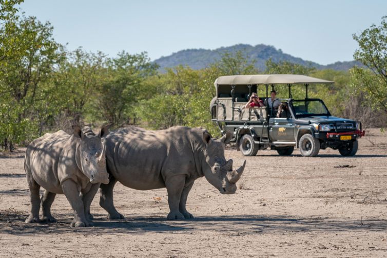 Ongava Lodge (11)
