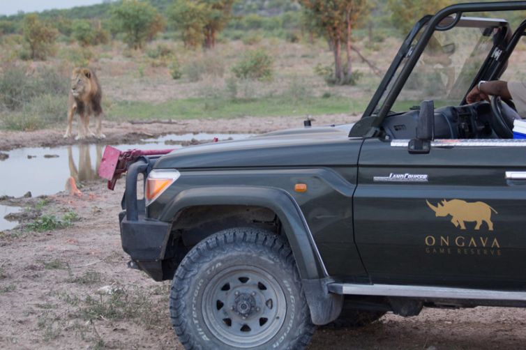 Ongava Lodge (4)