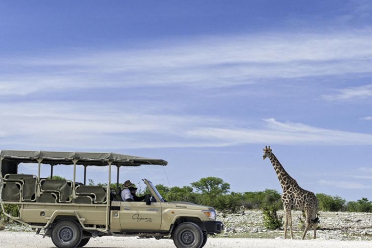 Onguma Tented Camp (18)