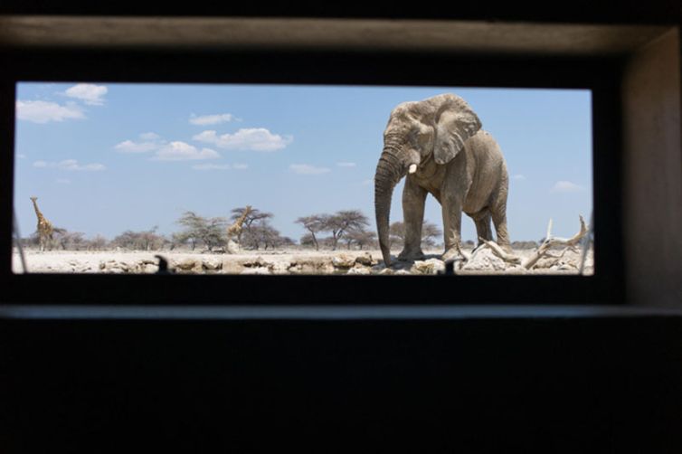 Onguma Tented Camp (21)
