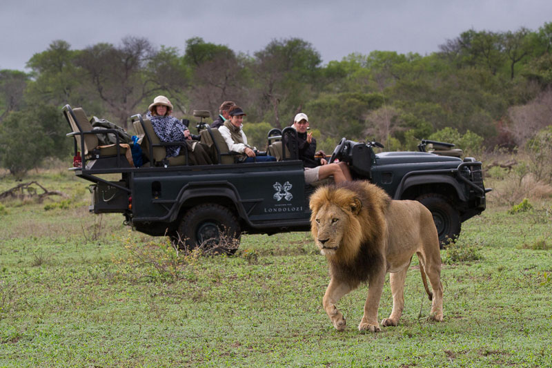 14 Earth Day 2026 Londolozi c lgr 3
